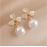 S925 Silver Needle Opal Clover Pearl Earrings For Women Exquisite Shining Crystal Stud Earring Cat Eye Stone Earring